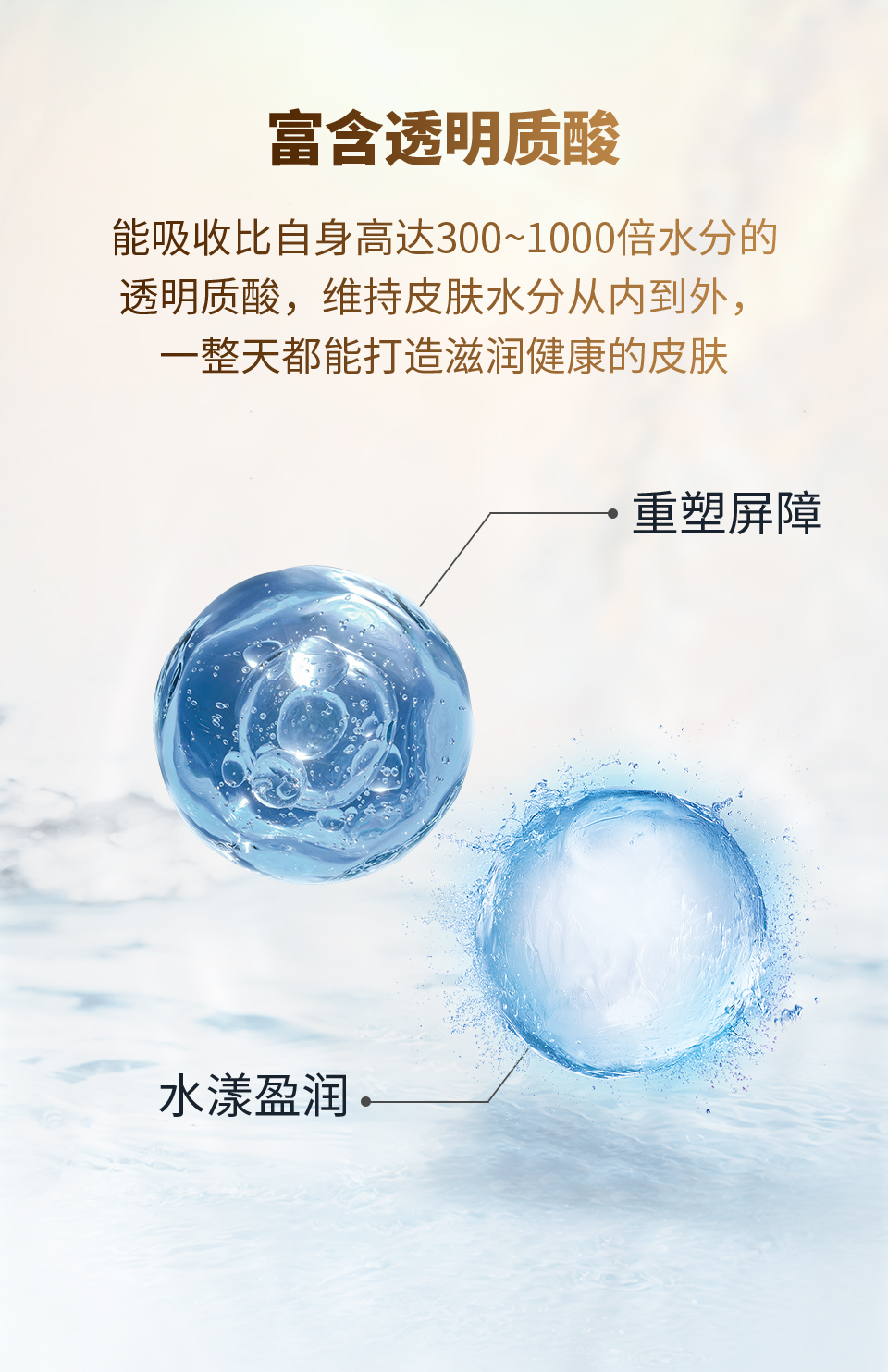 jinghuaye_07.jpg
